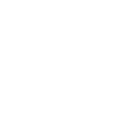 上海仪表集团